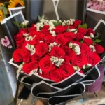 Red Petal Whispers