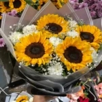 The Sunflower Dreams